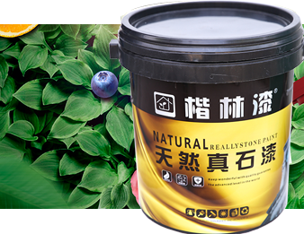 天然好色先生在线观看